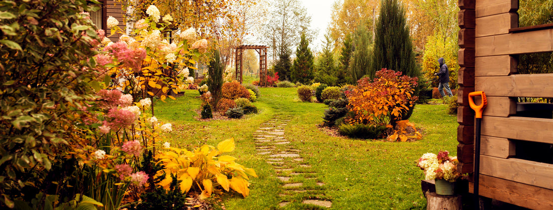DIY Fall Gardening Tips: Prepare Your Yard for a Beautiful Season