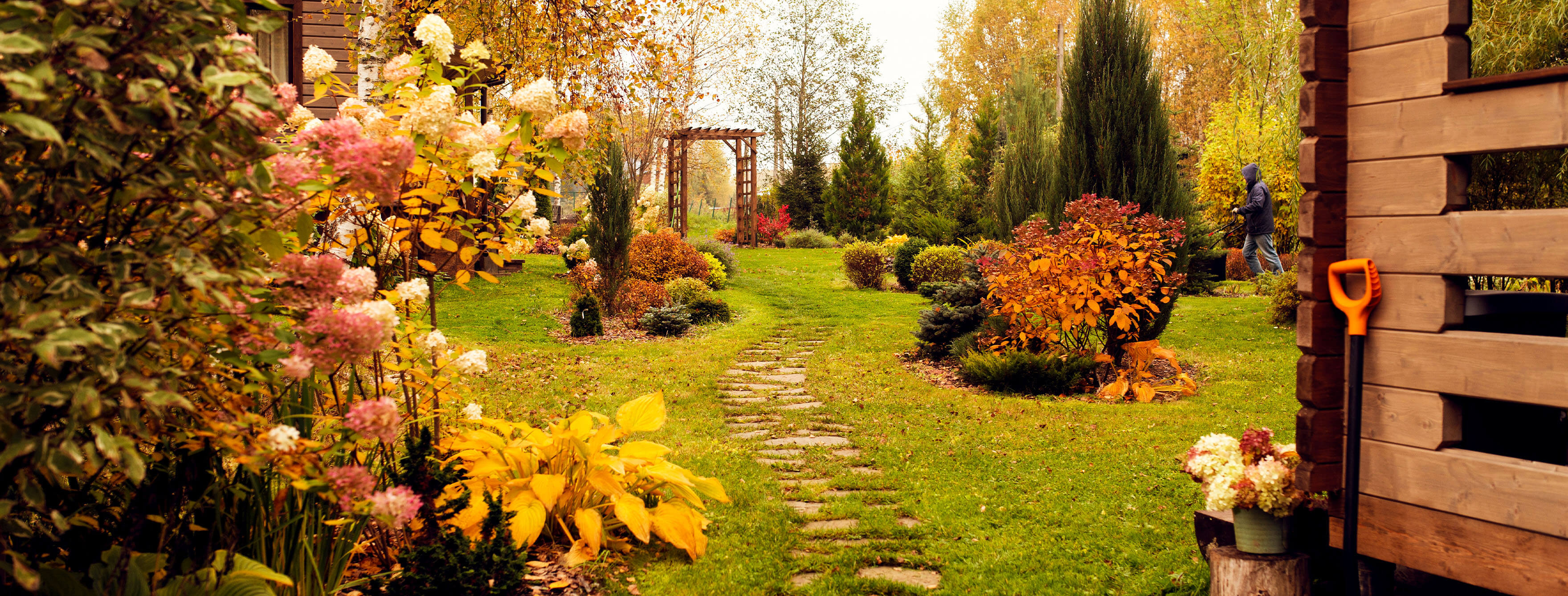 DIY Fall Gardening Tips: Prepare Your Yard for a Beautiful Season